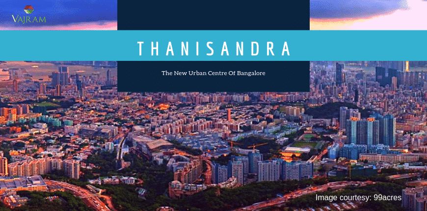 THE MANY JOYS OF THANISANDRA MAIN ROAD